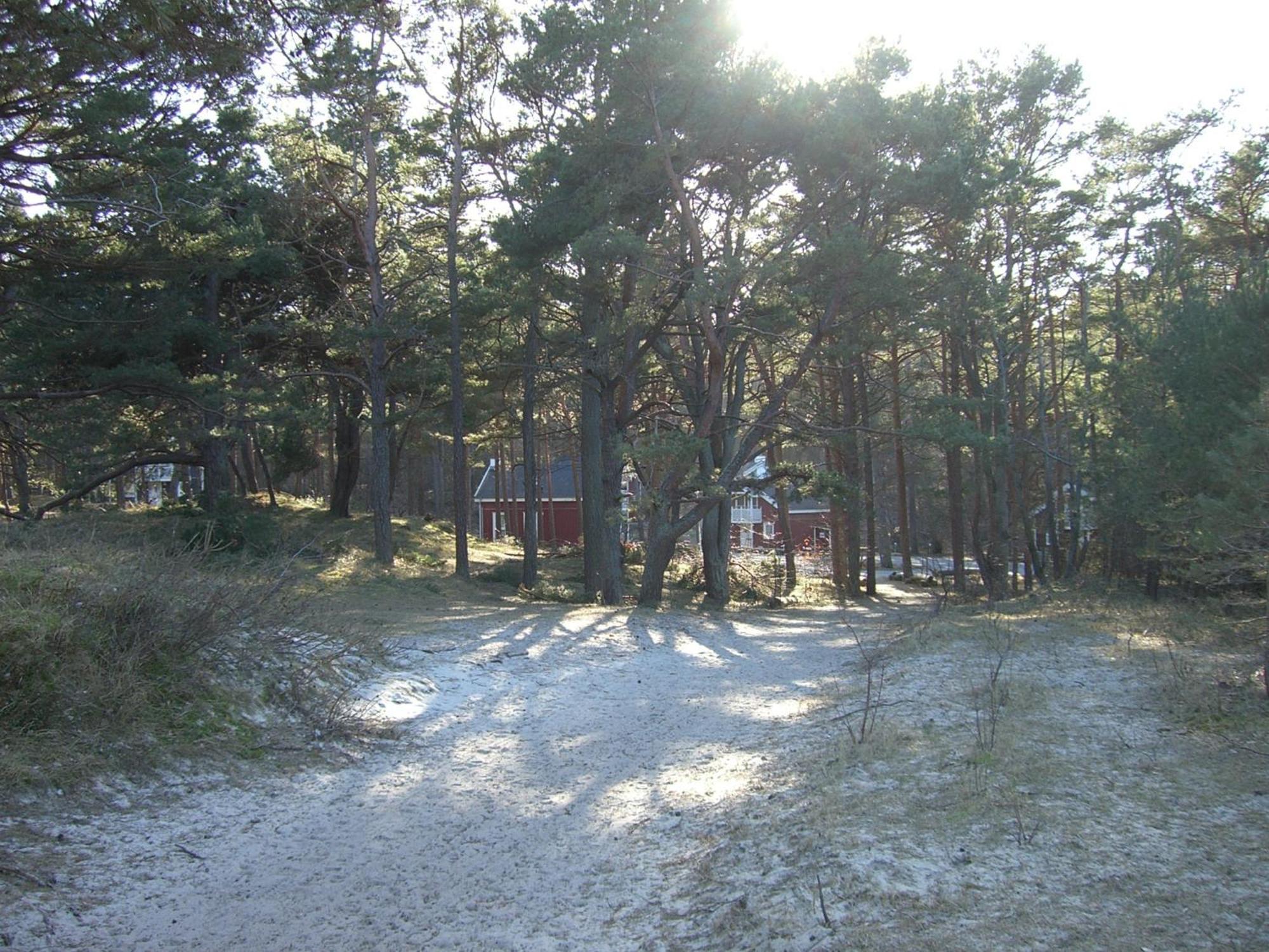 Haus Sandra Baabe Exteriör bild