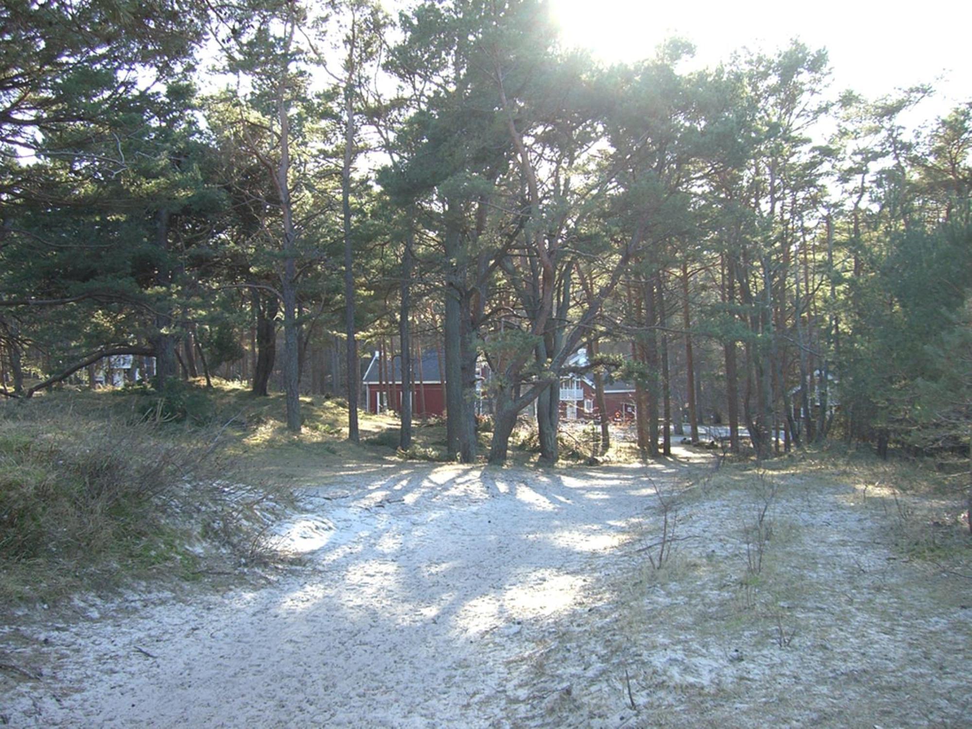 Haus Sandra Baabe Exteriör bild